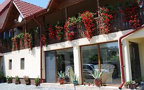 Pensiunea Casa Filoxenia